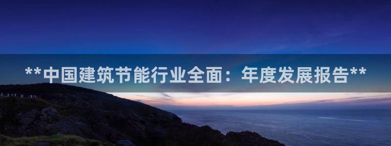 e尊国际官网：**中国建筑节能行业全面：年度发展报告**