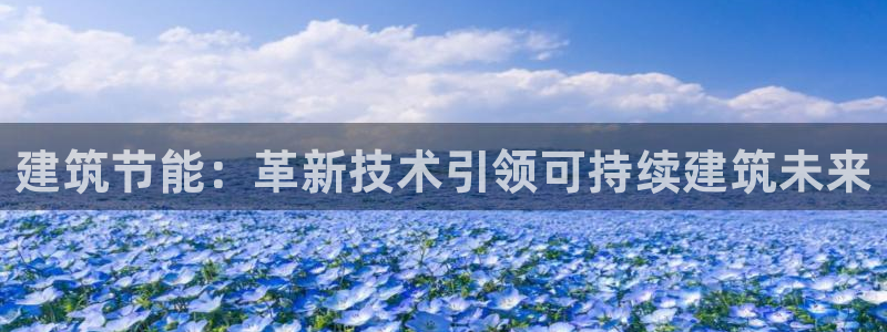 e尊国际-e尊国际官网：建筑节能：革新技术引领可持续建筑未来