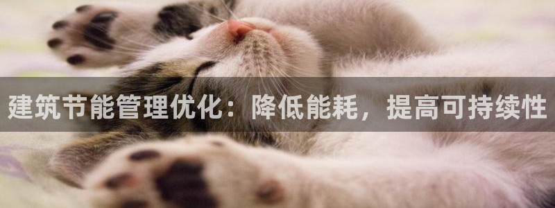 e尊国际官方网站：建筑节能管理优化：降低能耗，提高可持续性