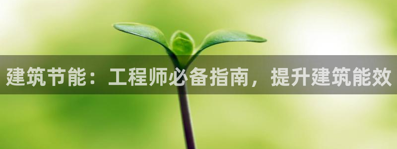 e尊国际app：建筑节能：工程师必备指南，提升建筑能效