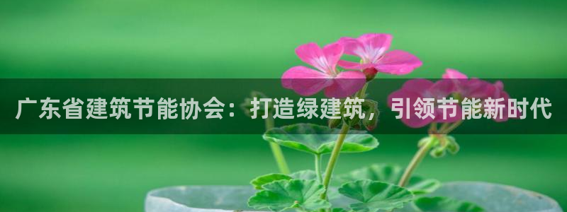 e尊国际官方网站：广东省建筑节能协会：打造绿建筑，引领节能新时代