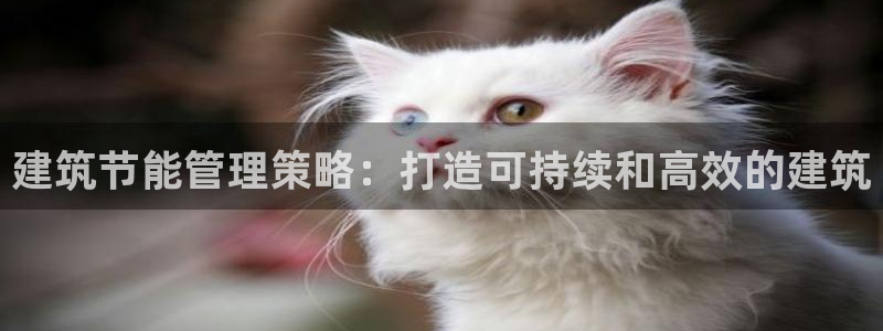 e尊平台：建筑节能管理策略：打造可持续和高效的建筑