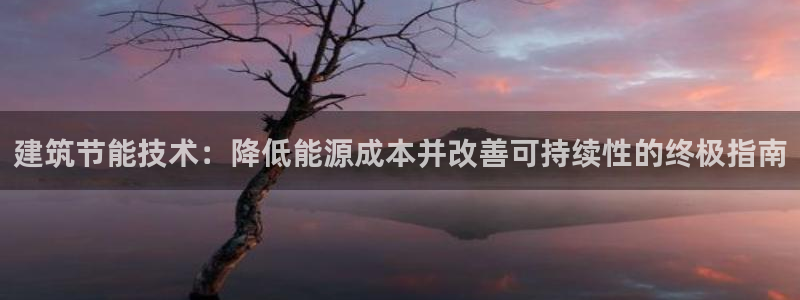 e尊国际的手机登录网站：建筑节能技术：降低能源成本并改善可持续性的终极指南