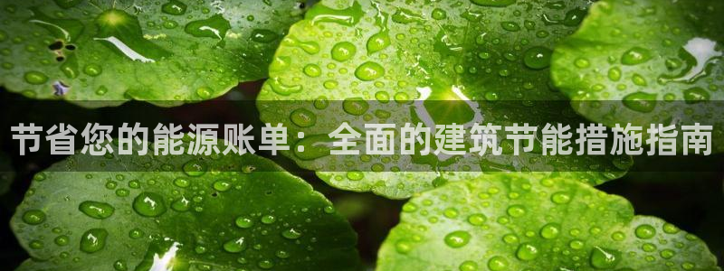 e尊国际平台：节省您的能源账单：全面的建筑节能措施指南
