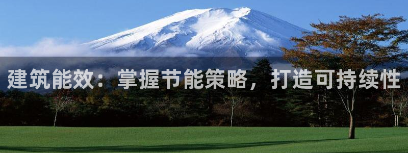 e尊国际app：建筑能效：掌握节能策略，打造可持续性