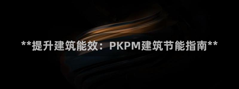 e尊国际客服：**提升建筑能效：PKPM建筑节能指南**