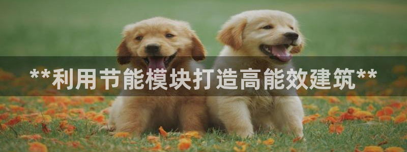 e尊国际官方网站：**利用节能模块打造高能效建筑**