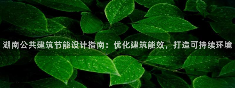 e尊国际官网：湖南公共建筑节能设计指南：优化建筑能效，打造可持续环境