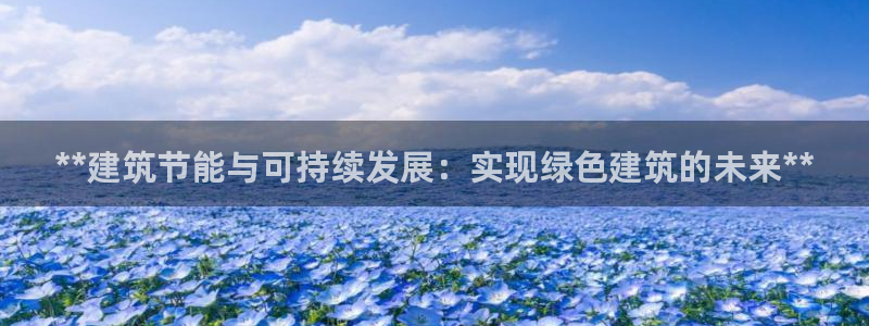 e尊国际娱乐官网下载：**建筑节能与可持续发展：实现绿色建筑的未来**