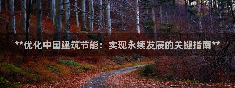 e尊国际官网app：**优化中国建筑节能：实现永续发展的关键指南**