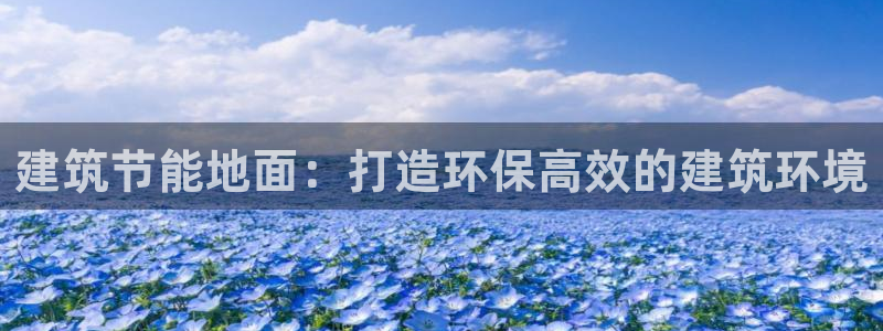 e尊国际客户端：建筑节能地面：打造环保高效的建筑环境