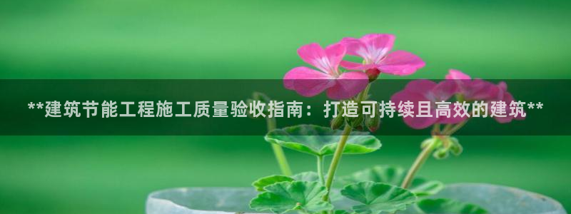 e尊国际娱乐官网下载：**建筑节能工程施工质量验收指南：打造可持续且高效的建筑**