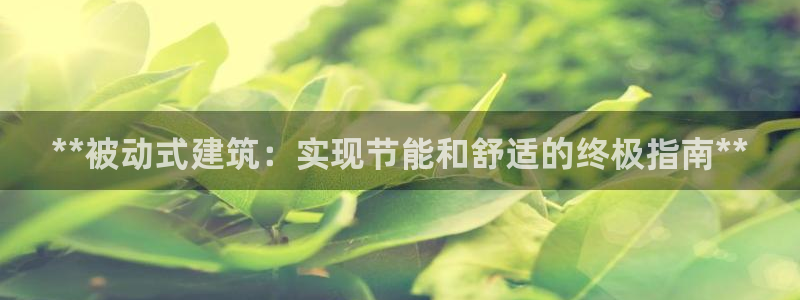 e尊国际-可可计划：**被动式建筑：实现节能和舒适的终极指南**