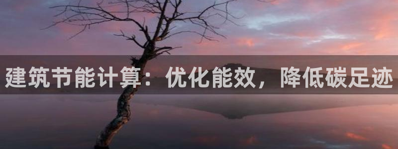 e尊国际客服：建筑节能计算：优化能效，降低碳足迹
