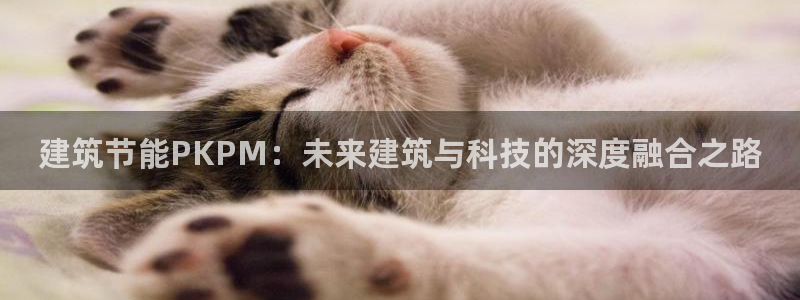 e尊官网：建筑节能PKPM：未来建筑与科技的深度融合之路