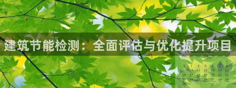 e尊国际官方网站：建筑节能检测：全面评估与优化提升项目