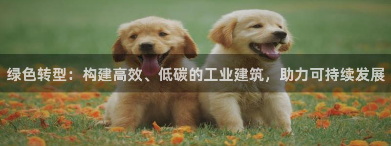 e尊国际是干什么的：绿色转型：构建高效、低碳的工业建筑，助力可持续发展