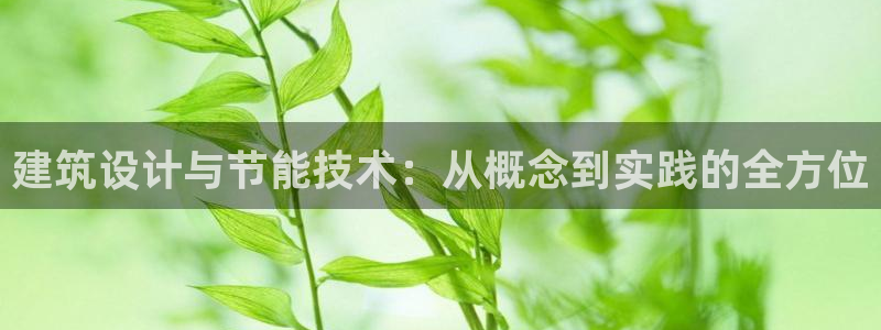 e尊国际-e尊国际官网：建筑设计与节能技术：从概念到实践的全方位