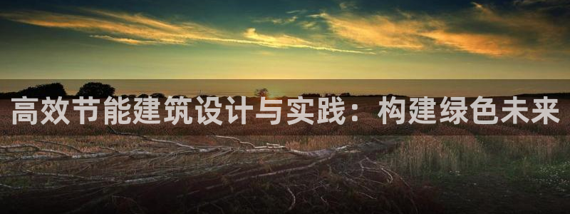 e尊国际娱乐官网下载：高效节能建筑设计与实践：构建绿色未来