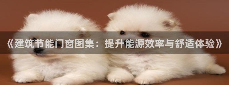 e尊国际官网app：《建筑节能门窗图集：提升能源效率与舒适体验》