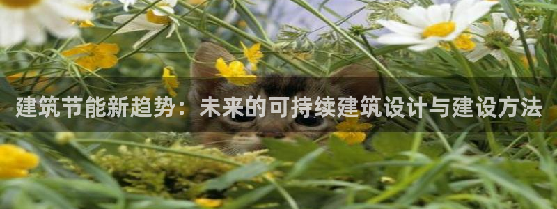 e尊国际官网：建筑节能新趋势：未来的可持续建筑设计与建设方法