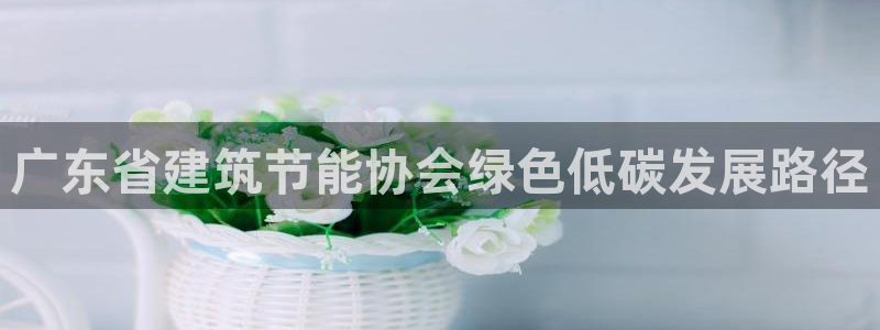 e尊国际娱乐官网下载：广东省建筑节能协会绿色低碳发展路径