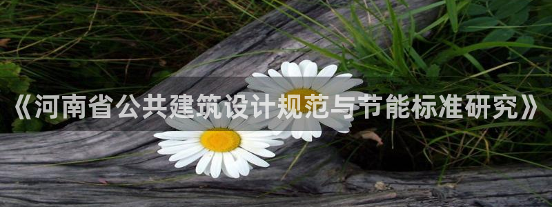 e尊国际可靠吗：《河南省公共建筑设计规范与节能标准研究》