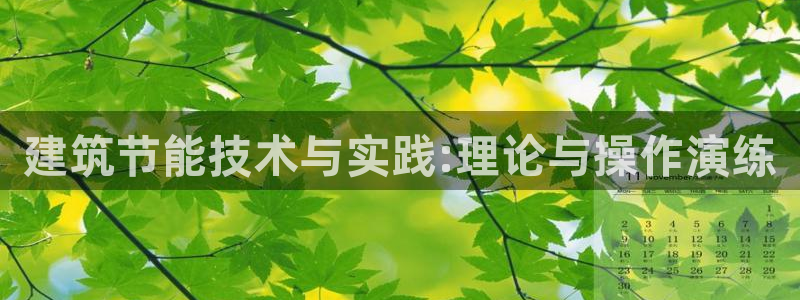e尊国际是个黑网：建筑节能技术与实践:理论与操作演练