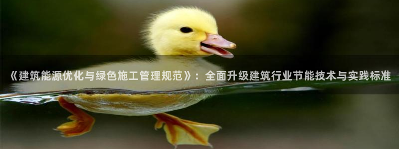 e尊国际官网app：《建筑能源优化与绿色施工管理规范》：全面升级建筑行业节能技术与实践标准