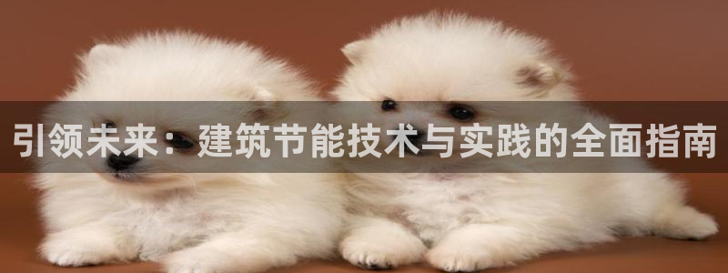 e尊国际地址：引领未来：建筑节能技术与实践的全面指南