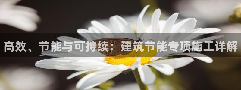 谁知道e尊国际的网址：高效、节能与可持续：建筑节能专项施工详解