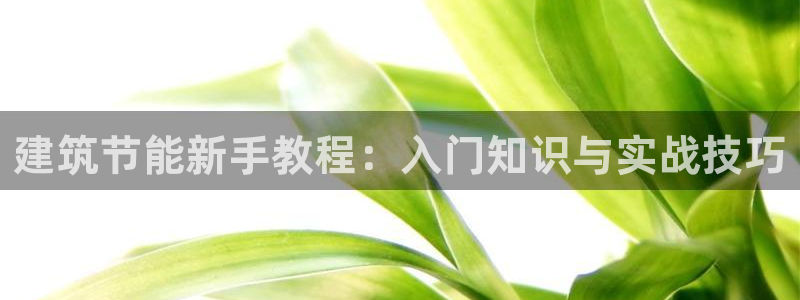 尊亿娱乐国际官网：建筑节能新手教程：入门知识与实战技巧