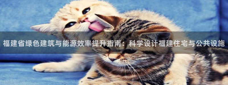 尊亿娱乐国际官网：福建省绿色建筑与能源效率提升指南：科学设计福建住宅与公共设施