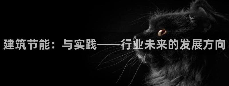 e尊国际app：建筑节能：与实践——行业未来的发展方向