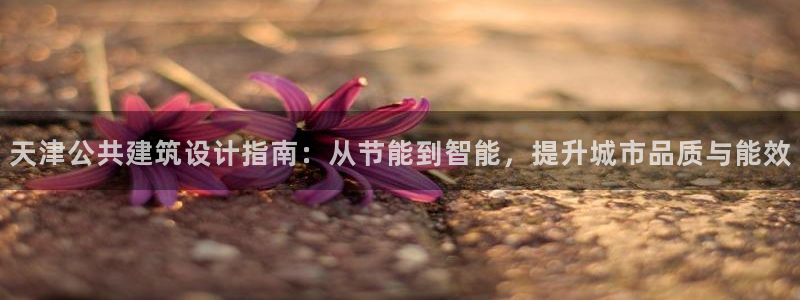 e尊国际官方网站：天津公共建筑设计指南：从节能到智能，提升城市品质与能效