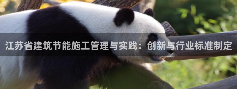 e尊国际客户端：江苏省建筑节能施工管理与实践：创新与行业标准制定