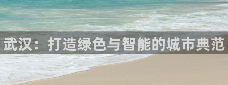 e尊国际的手机登录网站：武汉：打造绿色与智能的城市典范