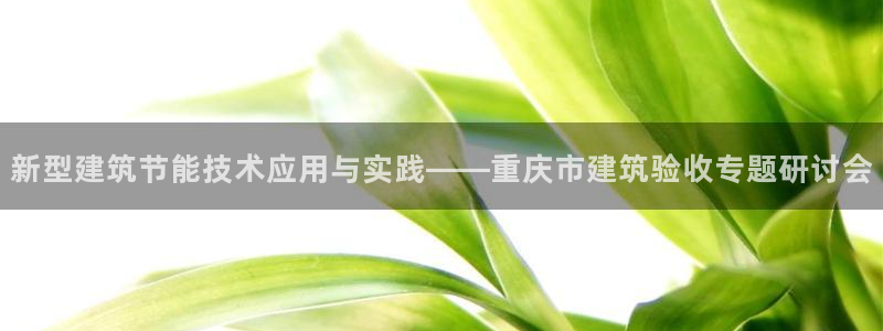 e尊国际-e尊国际官网：新型建筑节能技术应用与实践——重庆市建筑验收专题研讨会