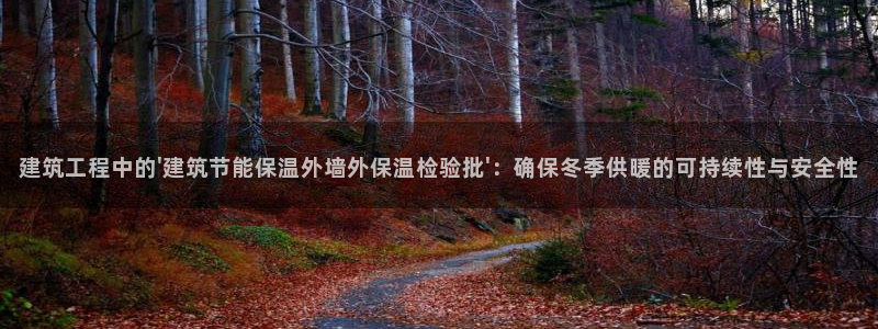 谁知道e尊国际的网址：建筑工程中的\'建筑节能保温外墙外保温检验批\'：确保冬季供暖的可持续性与安全