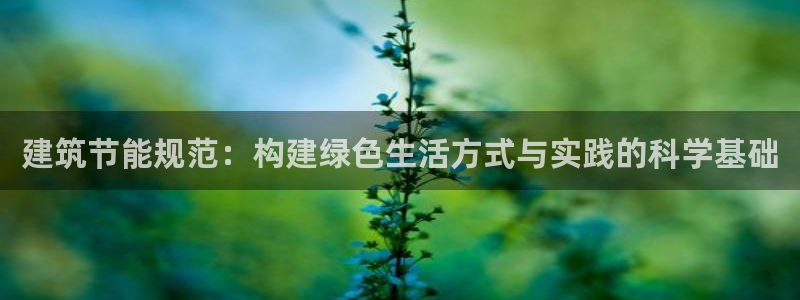 e尊国际娱乐官网地址