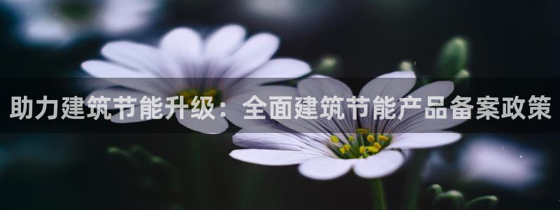 e尊平台：助力建筑节能升级：全面建筑节能产品备案政策