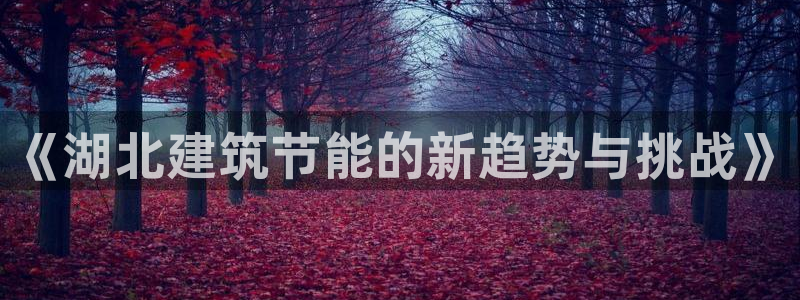 e尊国际娱乐官网地址：《湖北建筑节能的新趋势与挑战》