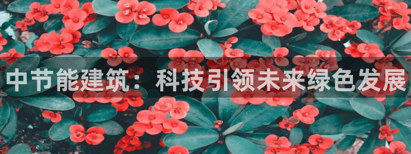 e尊国际-可可计划：中节能建筑：科技引领未来绿色发展