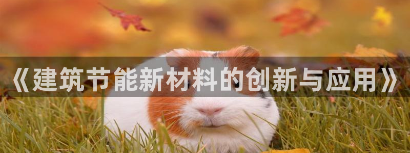 e尊国际是个黑网：《建筑节能新材料的创新与应用》