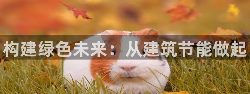 e尊国际地址：构建绿色未来：从建筑节能做起