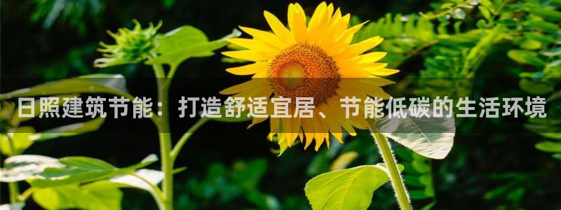 e尊电竞：日照建筑节能：打造舒适宜居、节能低碳的生活环境