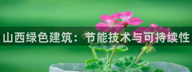 尊亿游戏国际官网