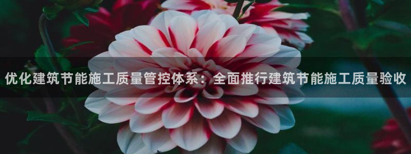 e尊国际客户端下载