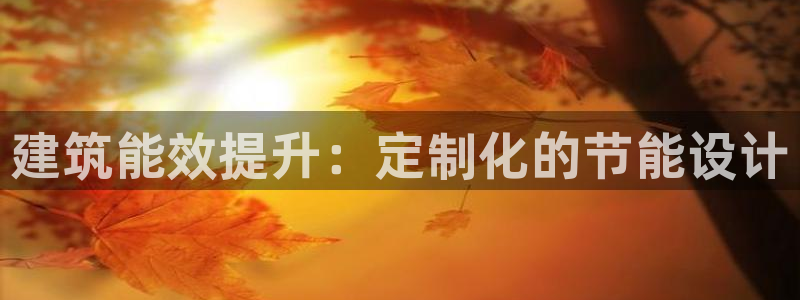 e尊国际客服：建筑能效提升：定制化的节能设计