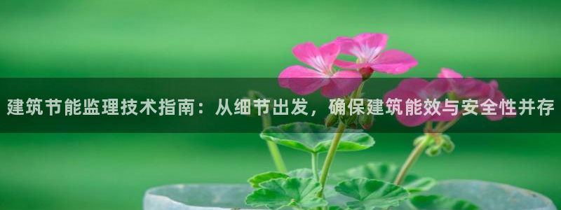 e尊国际官方网站